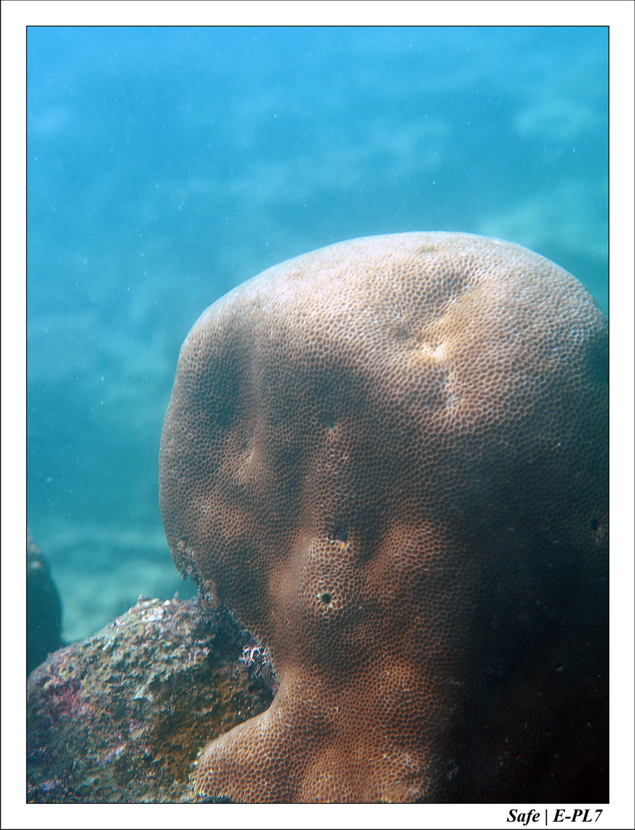 2018 - 08 - Pulau Tinggi - 10